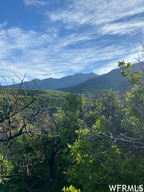 UPPER WHITTEMORE - Land