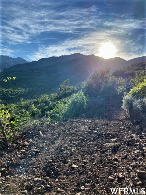 UPPER WHITTEMORE - Land
