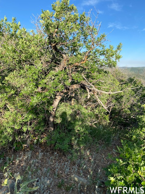 UPPER WHITTEMORE - Land