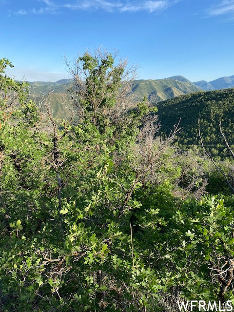 UPPER WHITTEMORE - Land