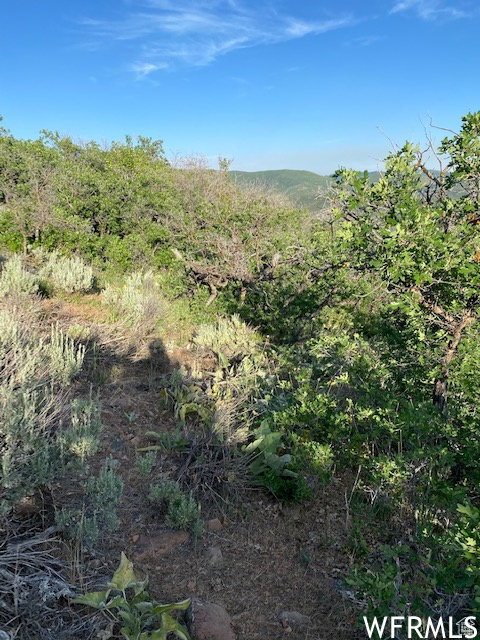 UPPER WHITTEMORE - Land