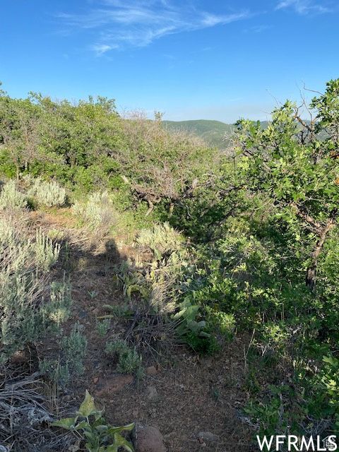 Tiny photo for 11 E SPRING MOUNTAIN DR #11, Springville, UT 84663 (MLS # 2097086)