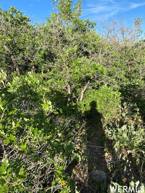 UPPER WHITTEMORE - Land