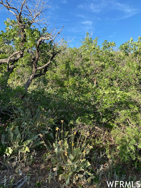 UPPER WHITTEMORE - Land