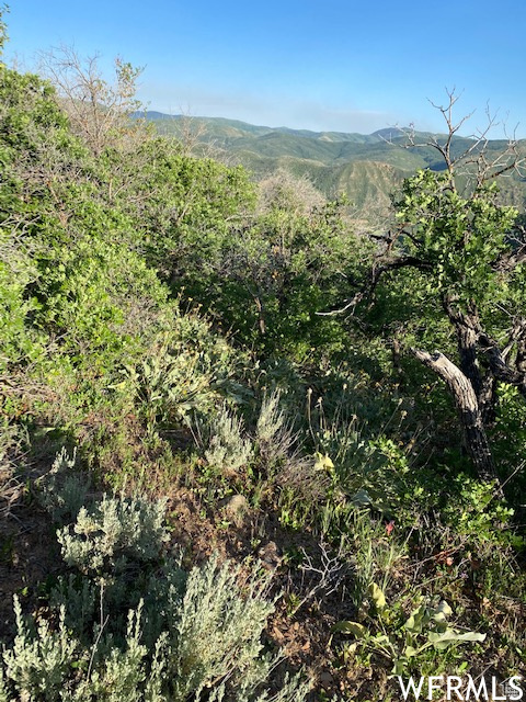 UPPER WHITTEMORE - Land