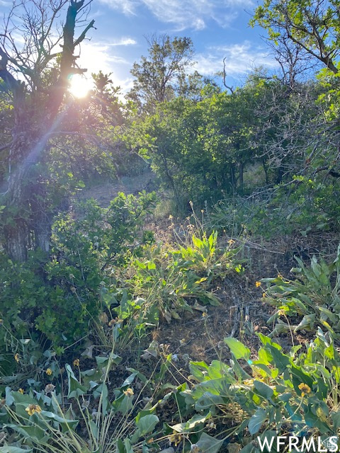 UPPER WHITTEMORE - Land