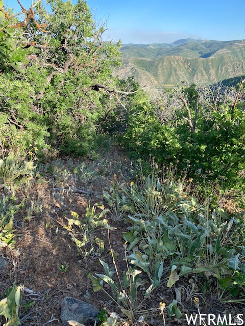 UPPER WHITTEMORE - Land