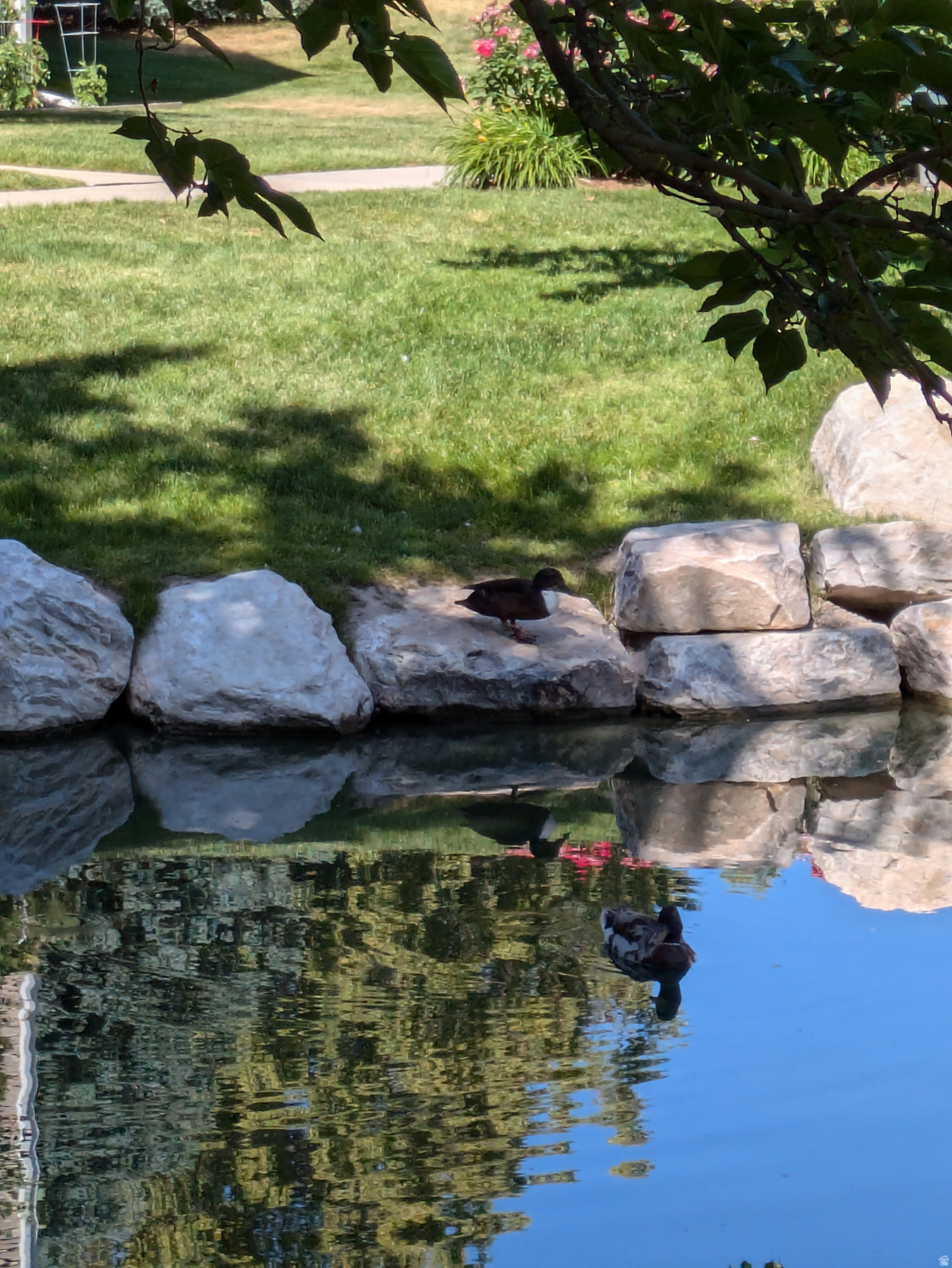 QUAILBROOK EAST - Residential