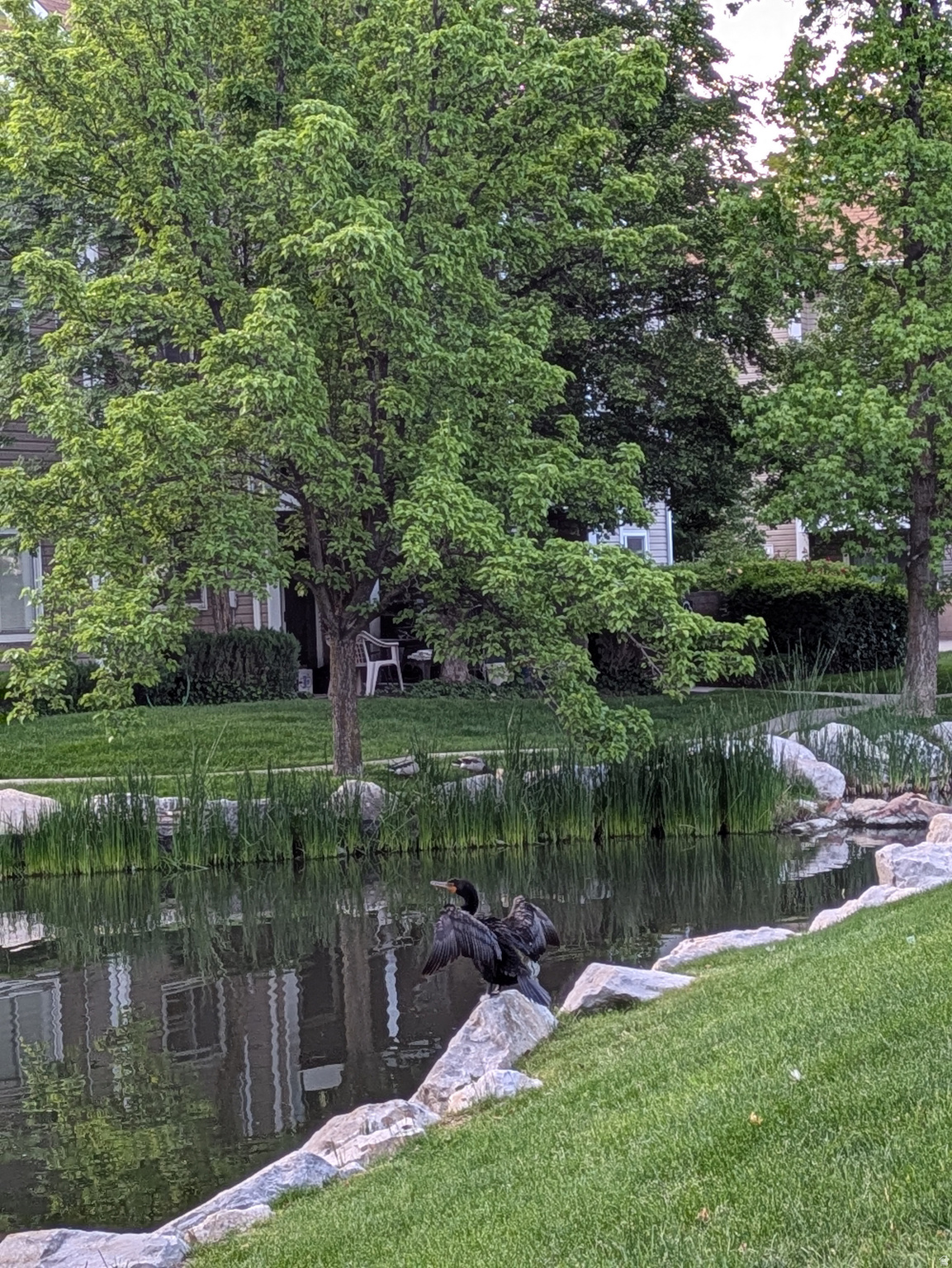 QUAILBROOK EAST - Residential