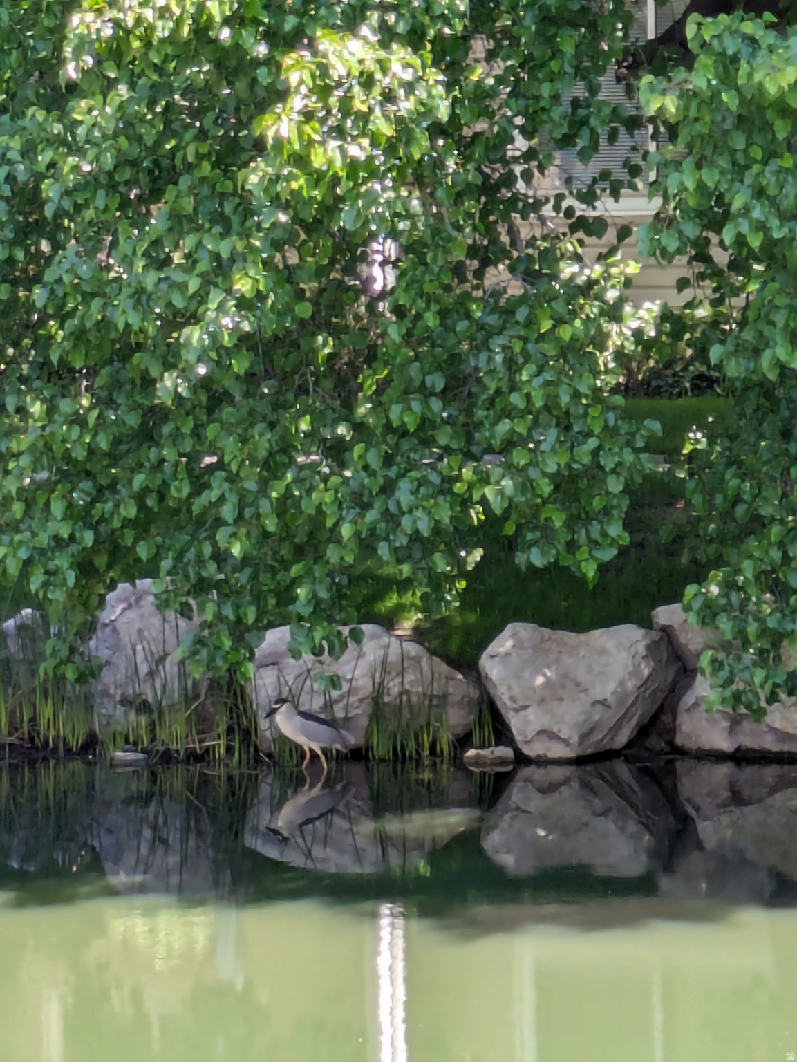 QUAILBROOK EAST - Residential