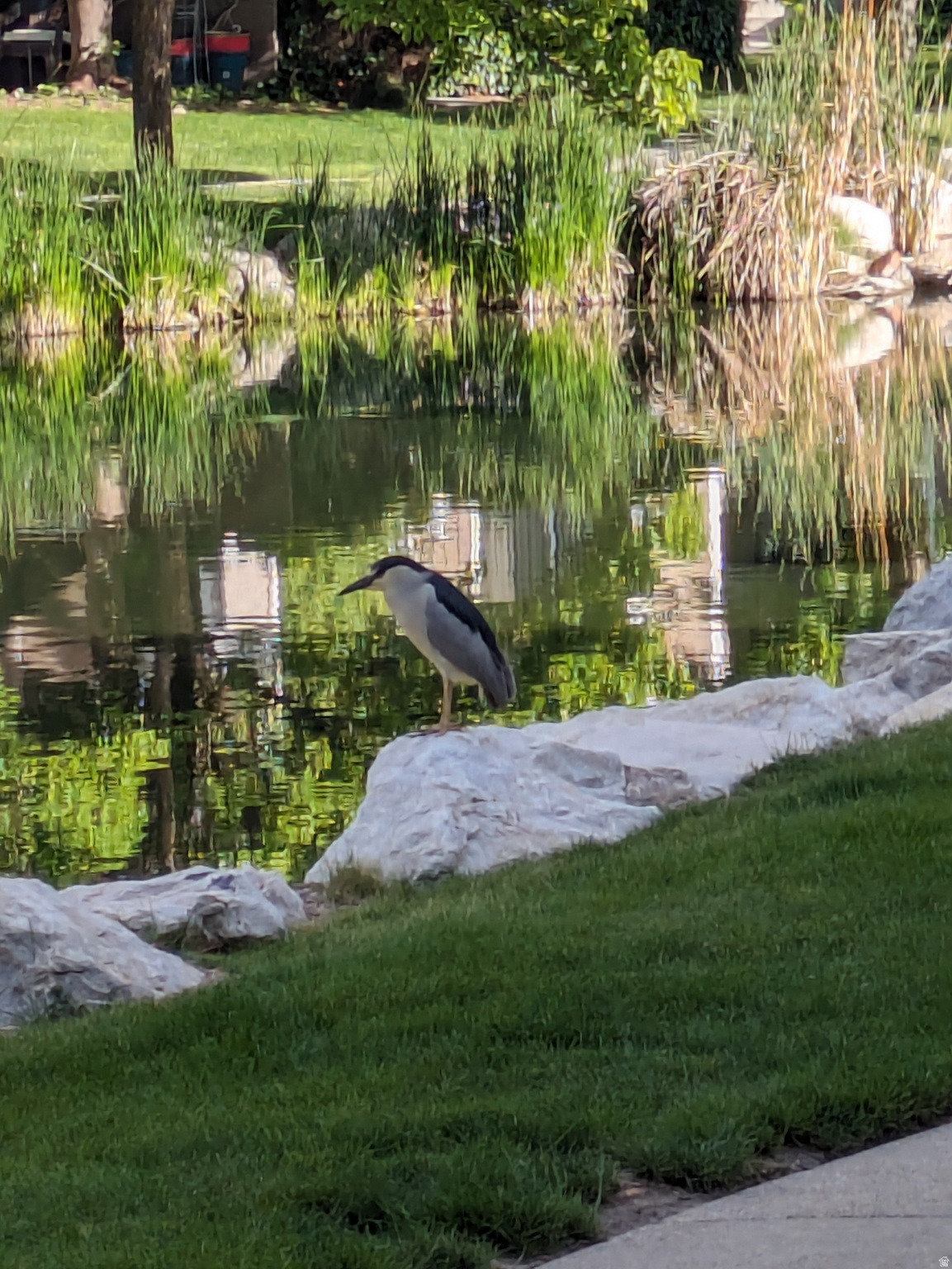 QUAILBROOK EAST - Residential