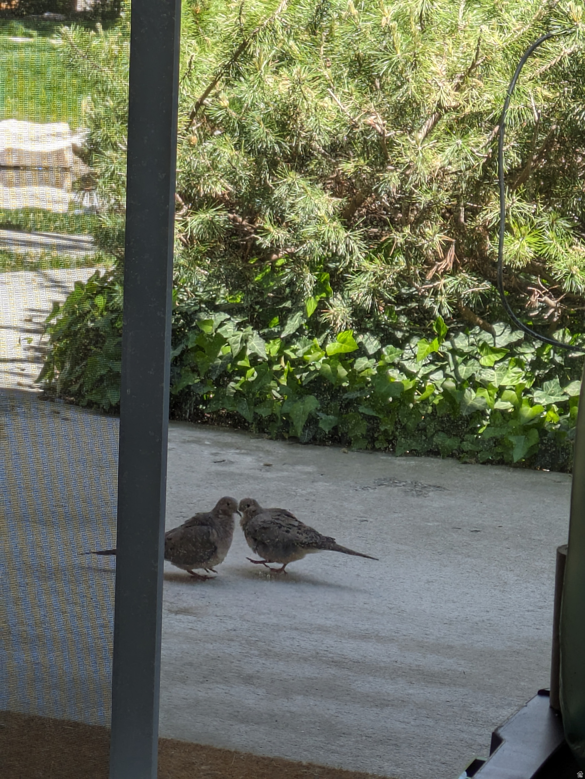 QUAILBROOK EAST - Residential