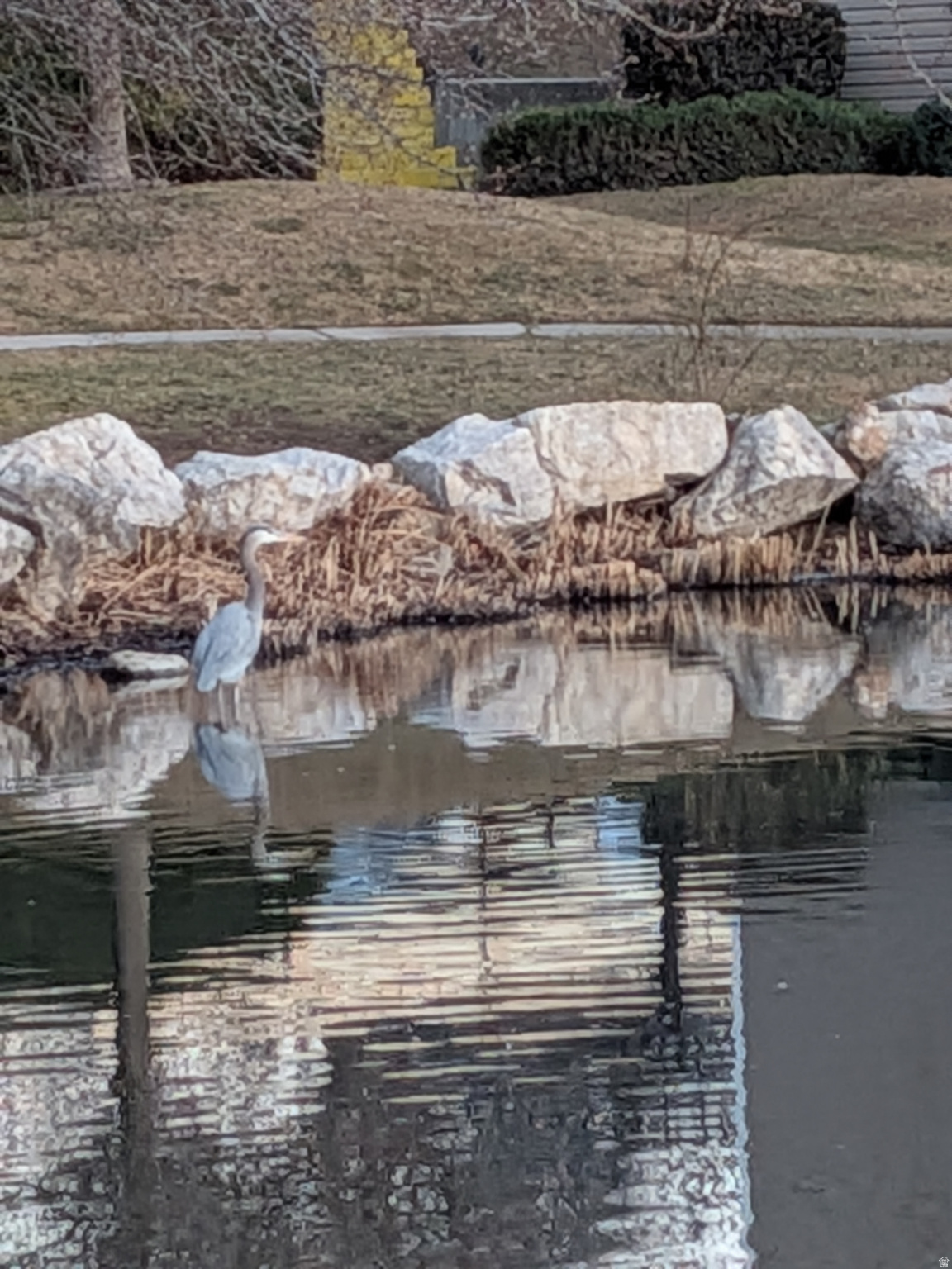 QUAILBROOK EAST - Residential