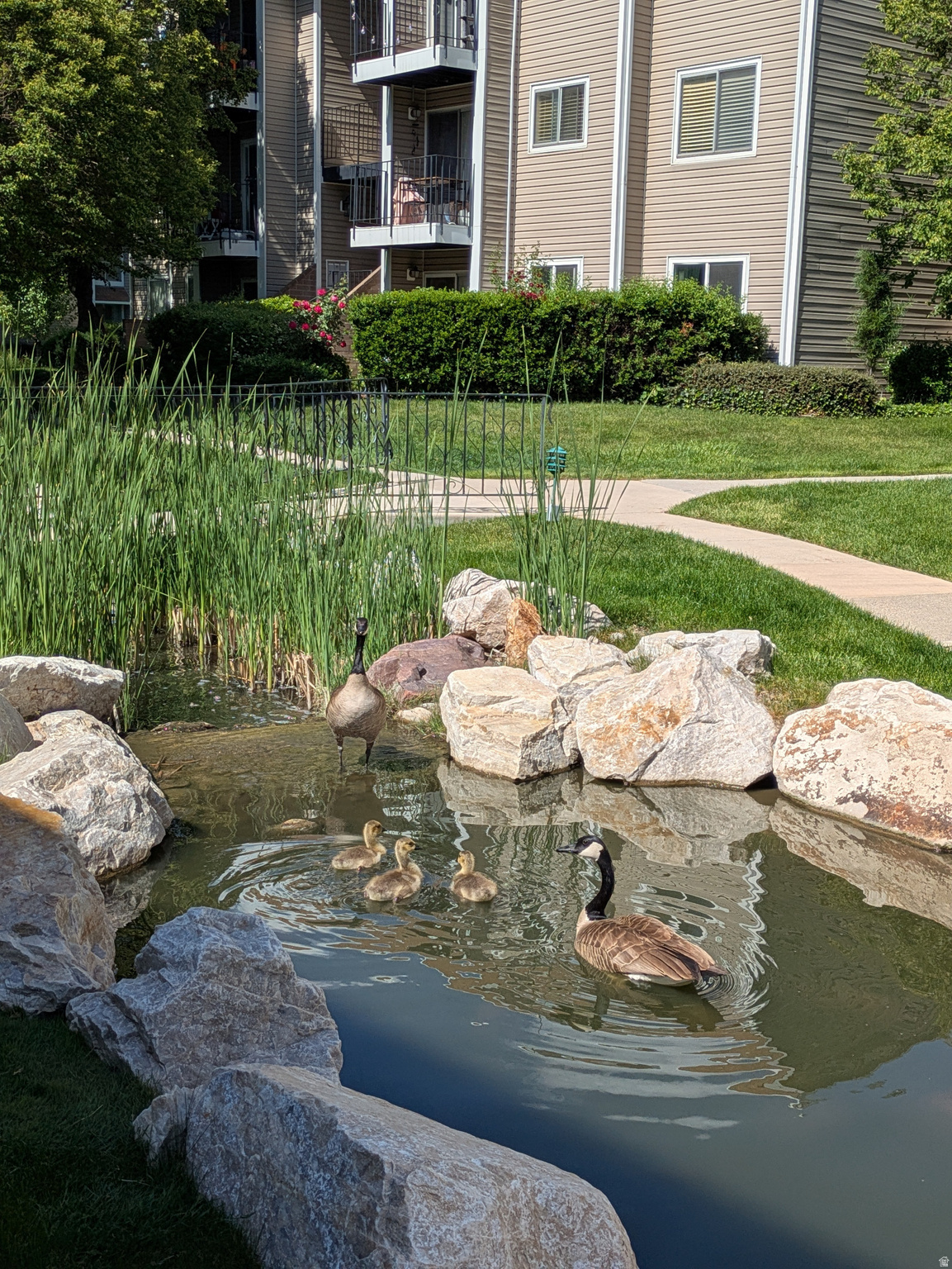 QUAILBROOK EAST - Residential