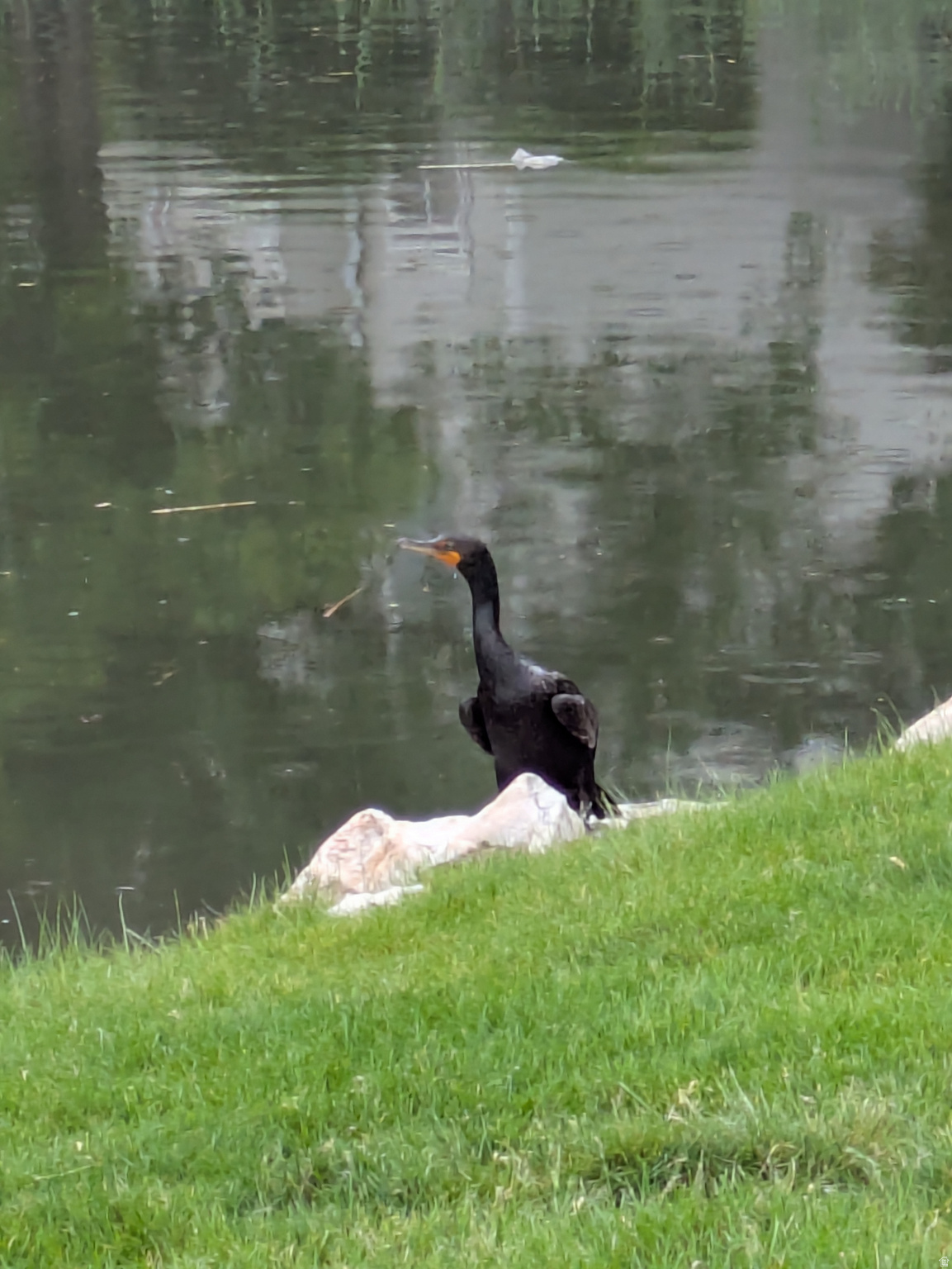 QUAILBROOK EAST - Residential