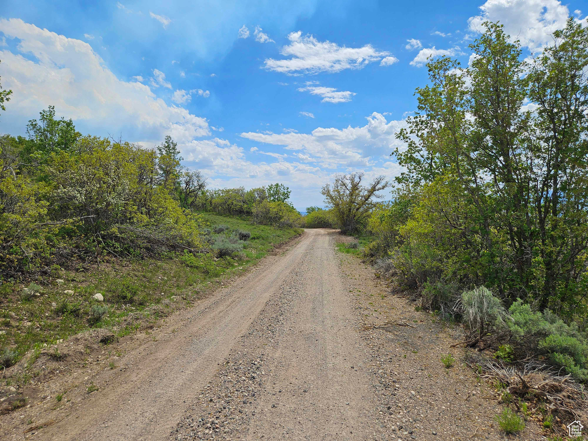 704 E Briar Dr #704, Fairview, Utah image 6