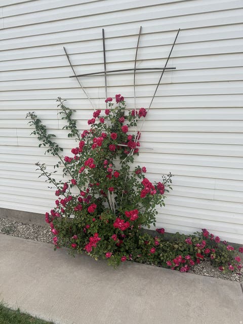 Tiny photo for 161 E 1080 S, Roosevelt, UT 84066 (MLS # 2168027)