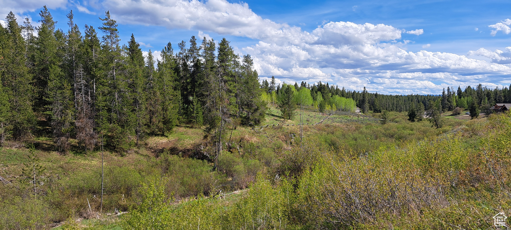 1670 Shadow Loop #13, Ashton, Idaho image 4