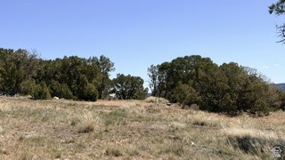 HIDDEN MEADOW - Land