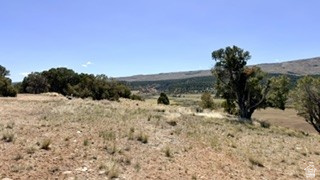 HIDDEN MEADOW - Land