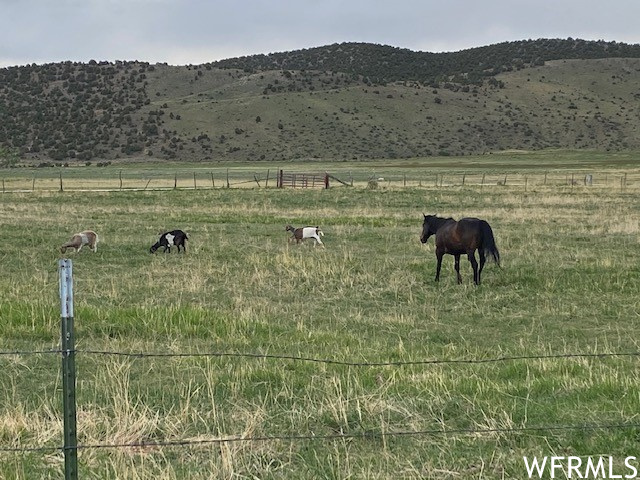 16225 N Paradise Rd, Lapoint, Utah image 18