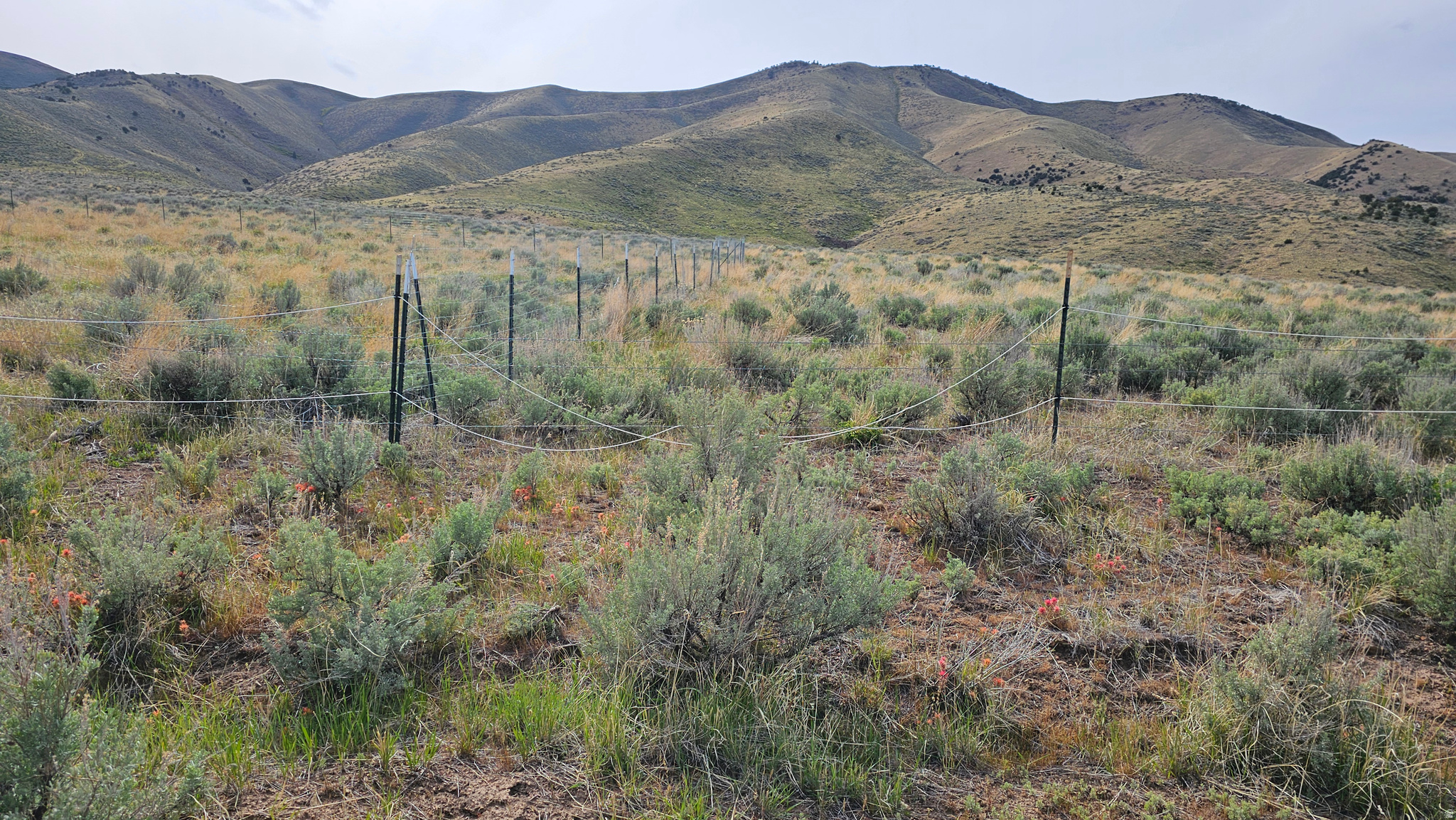 STANSBURY AGRICULTUR - Land