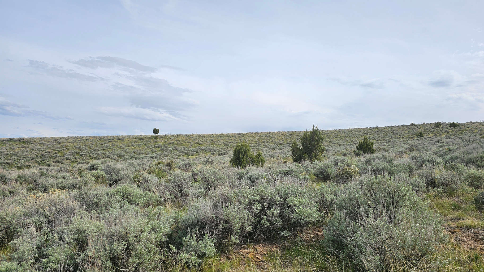 STANSBURY AGRICULTUR - Land