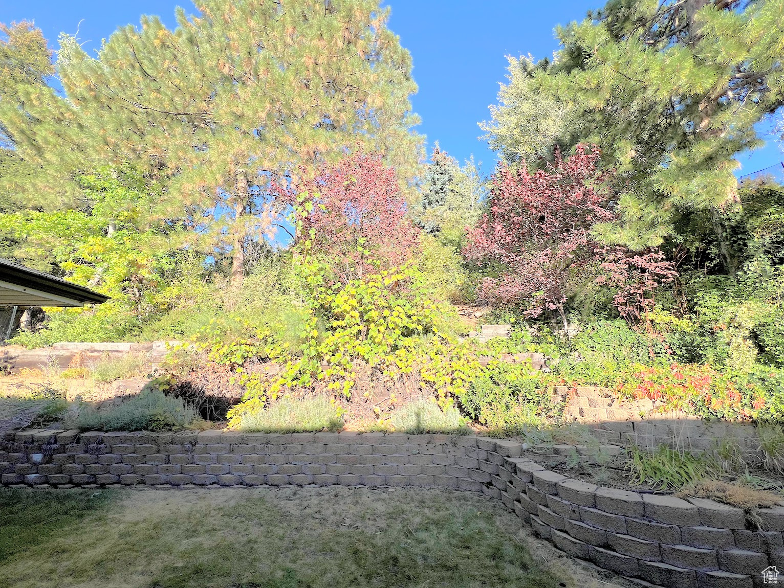 HIDDEN OAK ESTATES - Residential