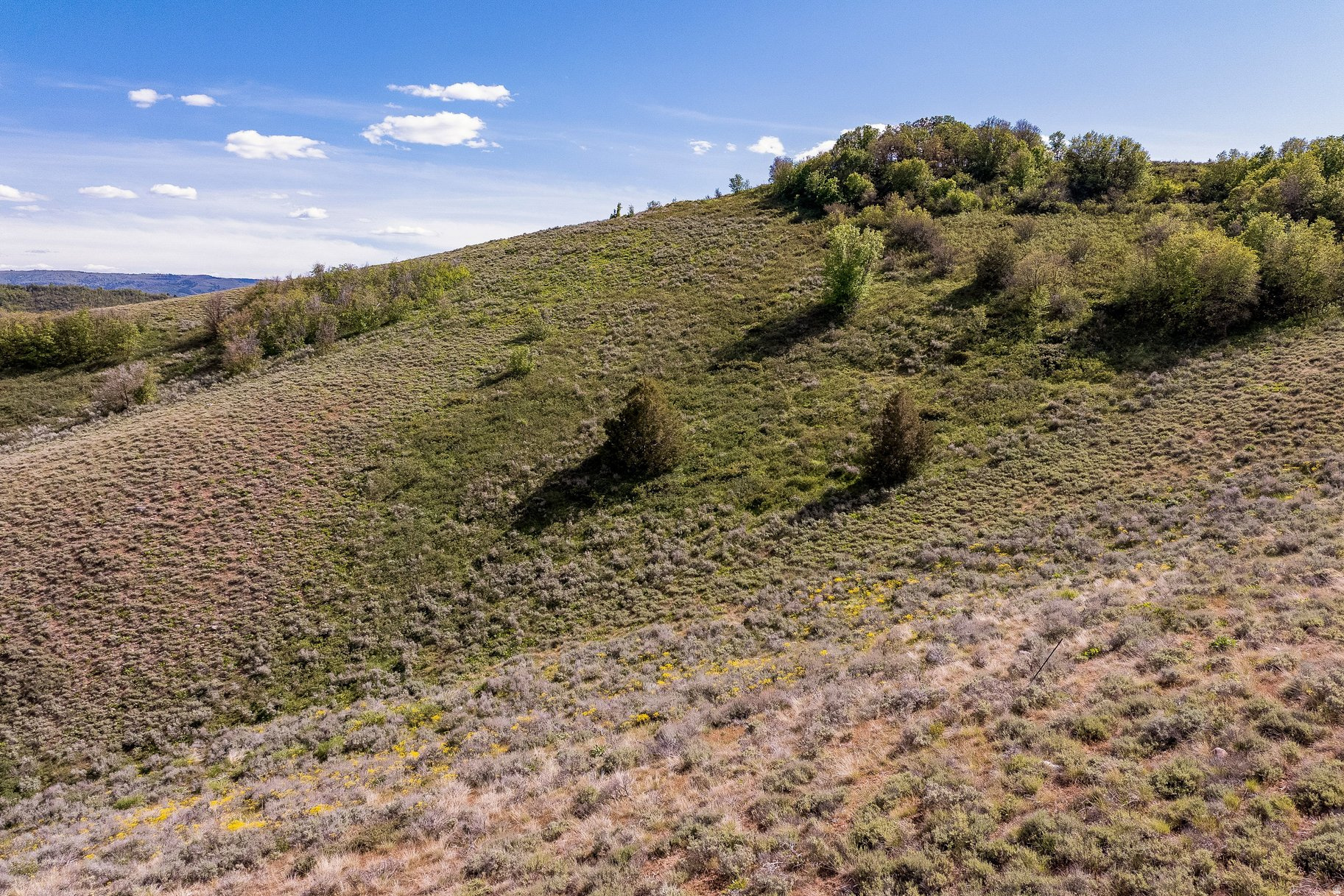 BEAVER CREEK ESTATES - Land