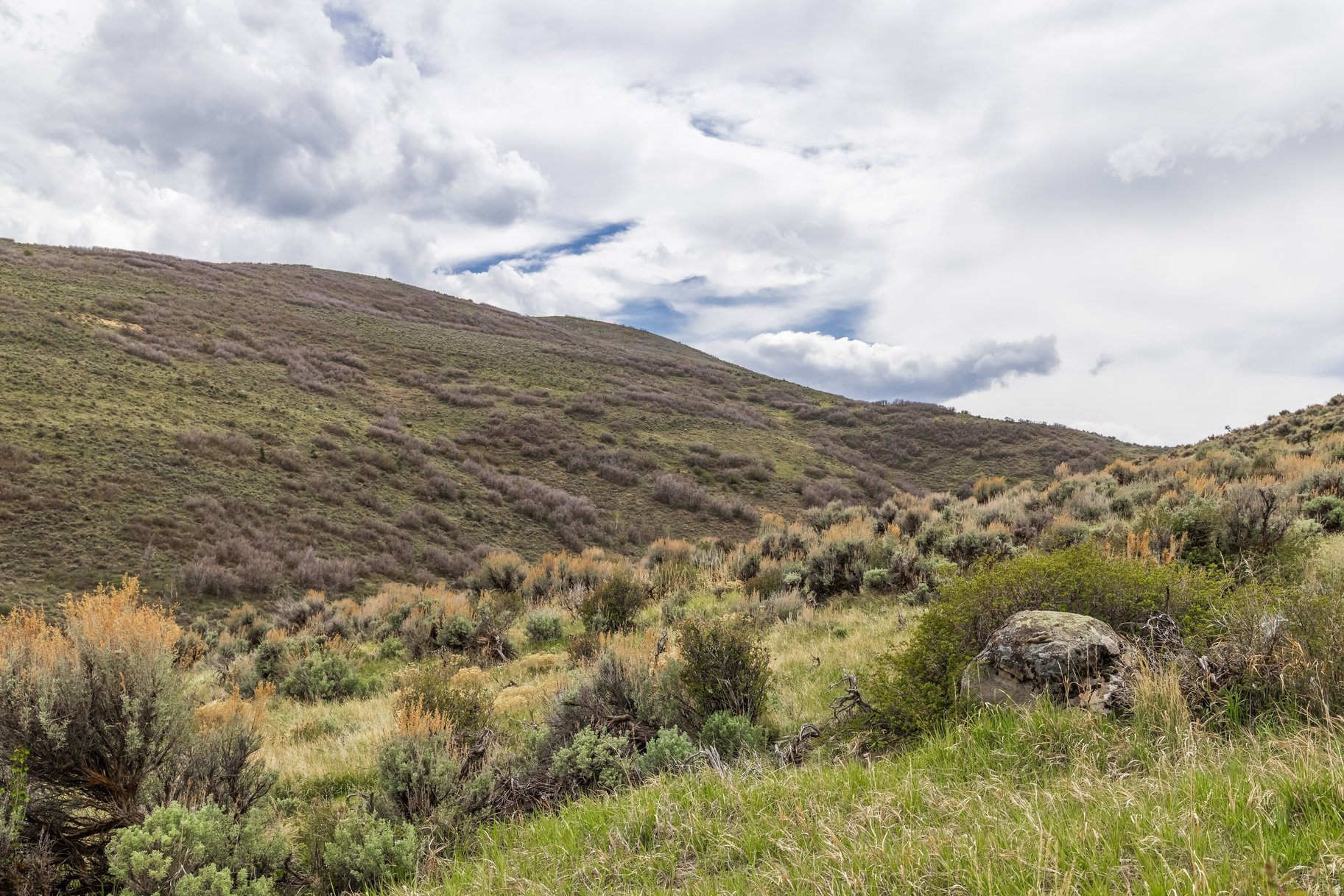 ELK RIDGE SUBDIVISION - Land
