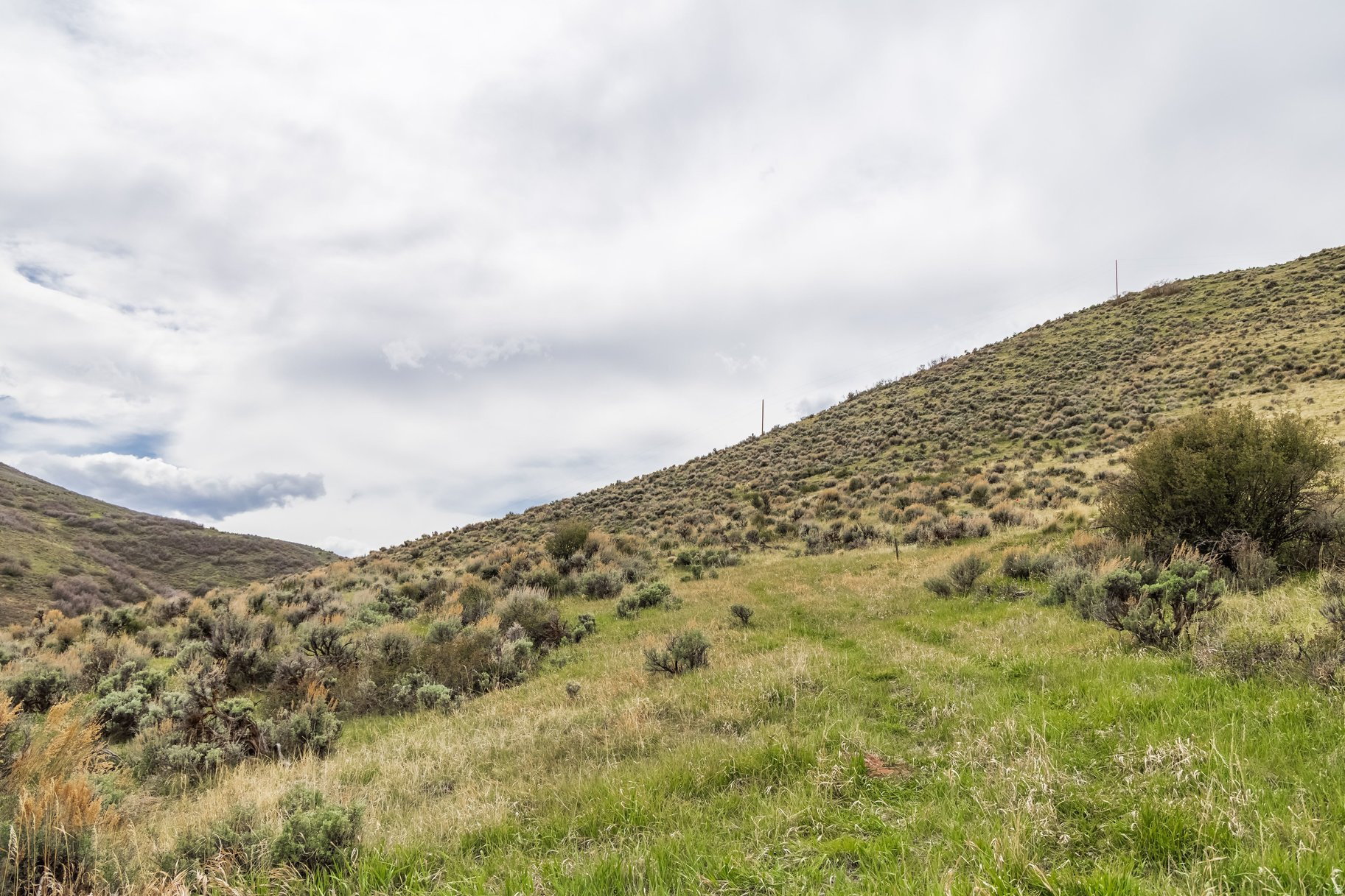 ELK RIDGE SUBDIVISION - Land