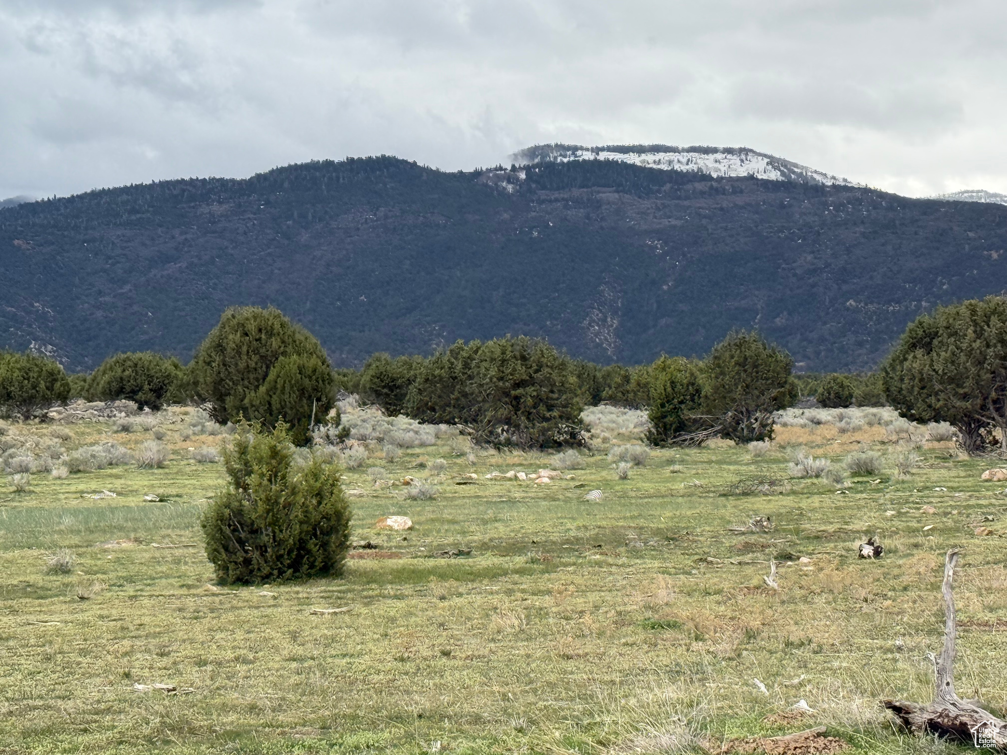 #2, Spring City, Utah image 11