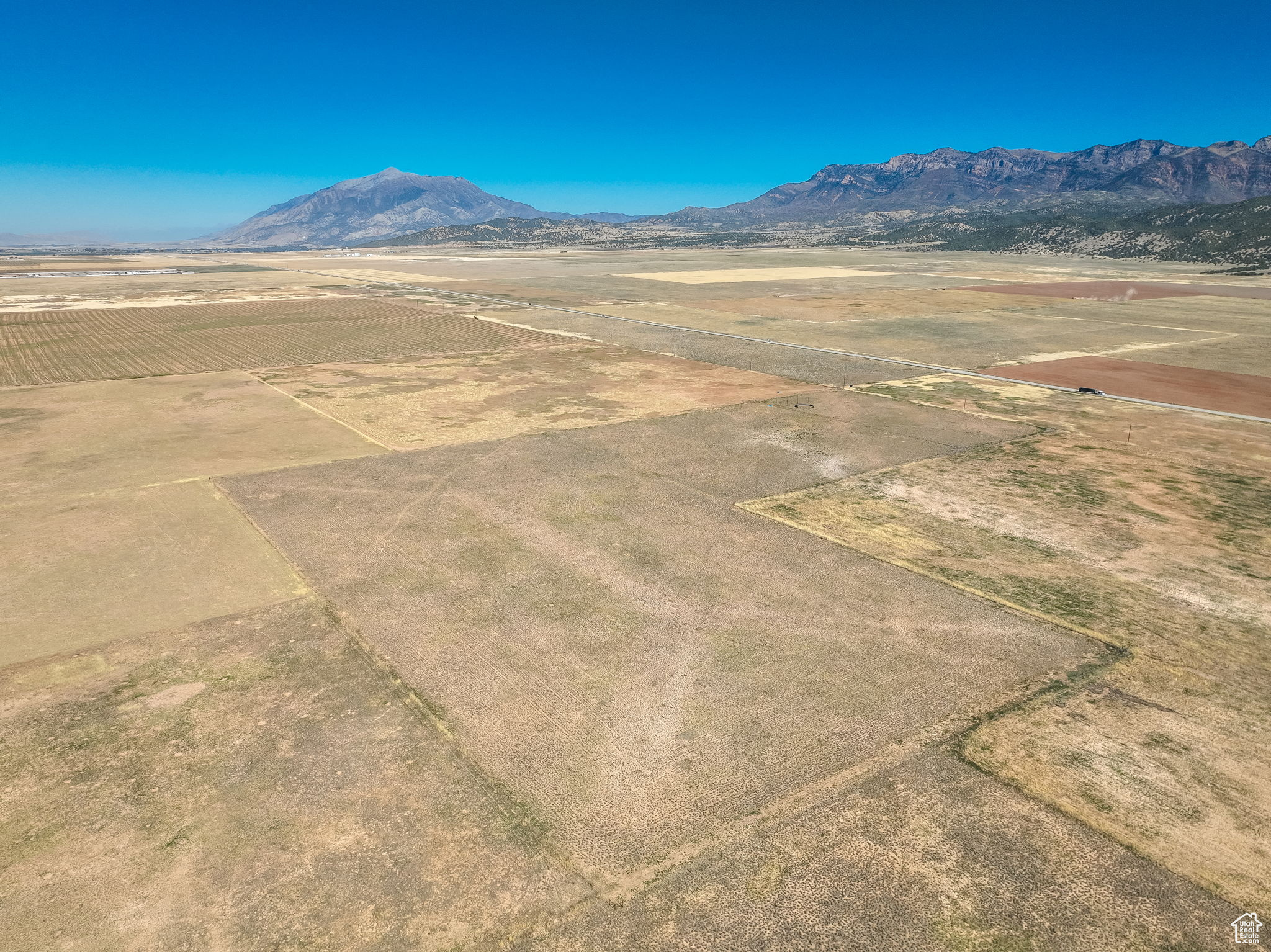 Land, Levan, Utah image 6