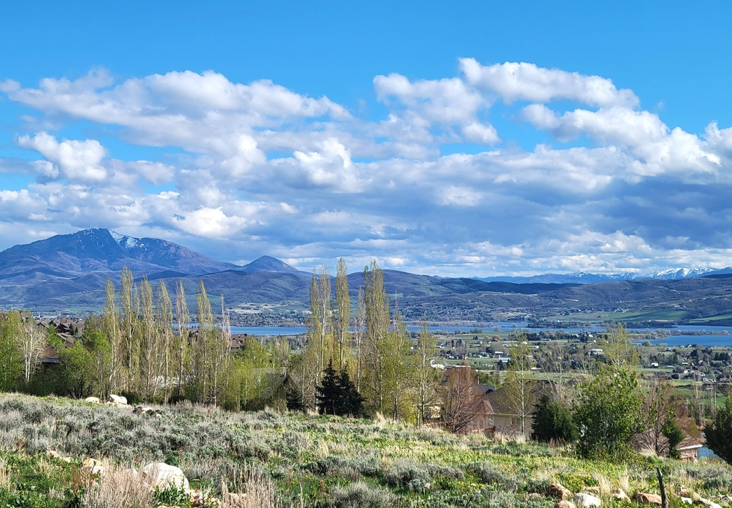 MOOSE HOLLOW - Residential