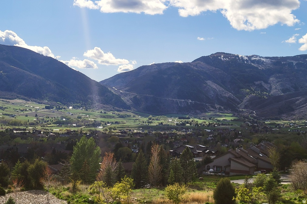 MOOSE HOLLOW - Residential