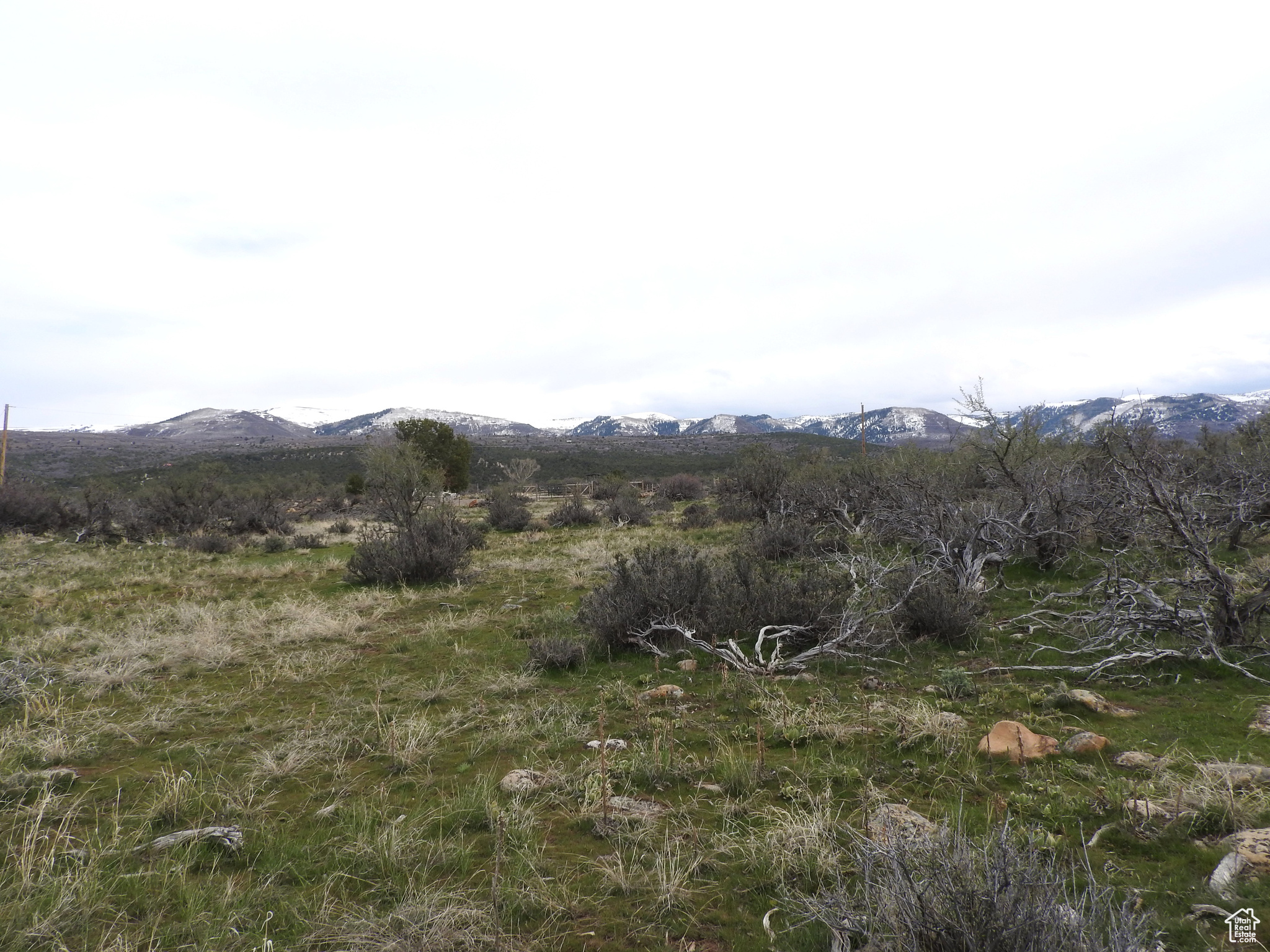 Land, Mt Pleasant, Utah image 5
