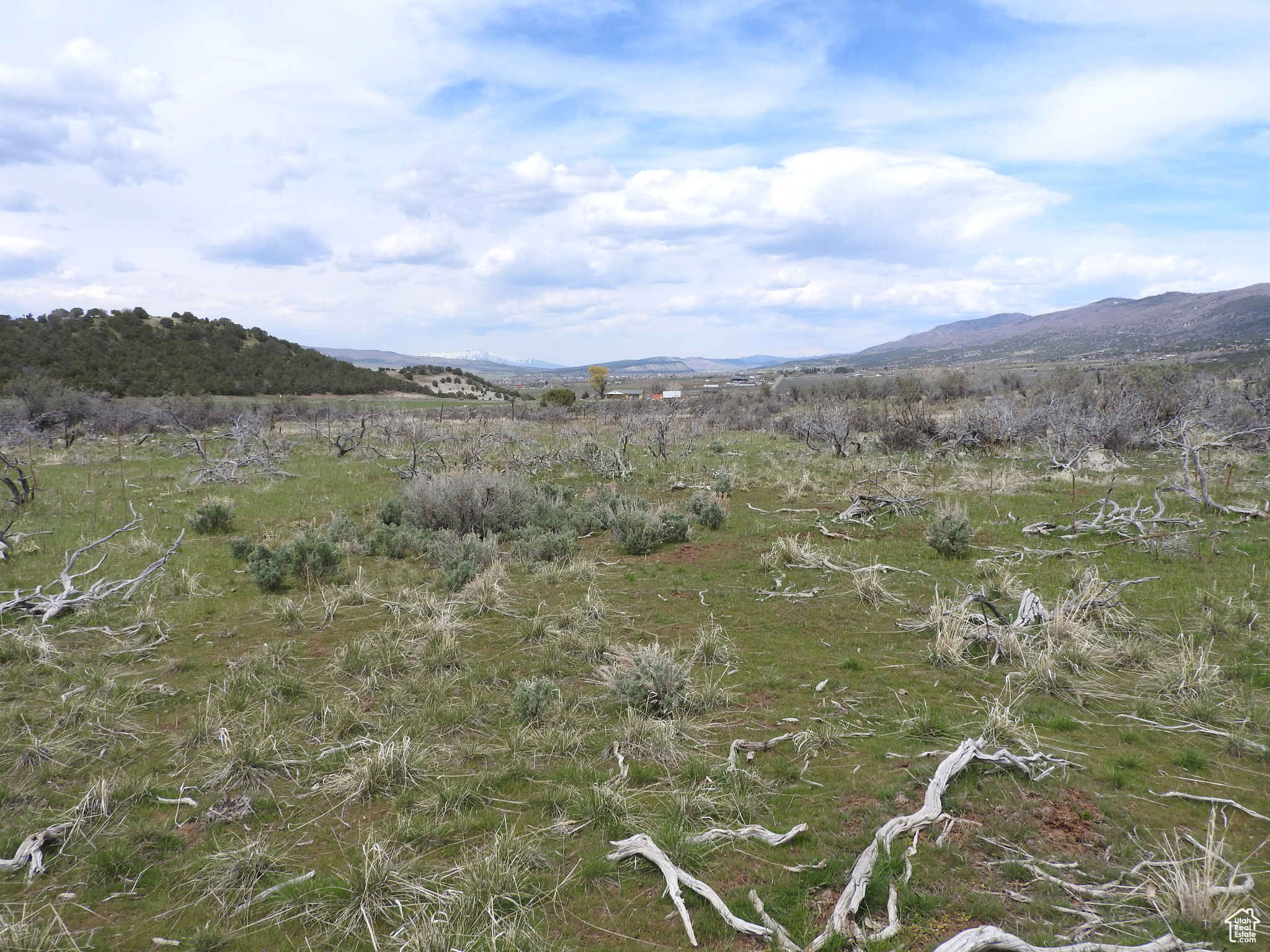 Land, Mt Pleasant, Utah image 3