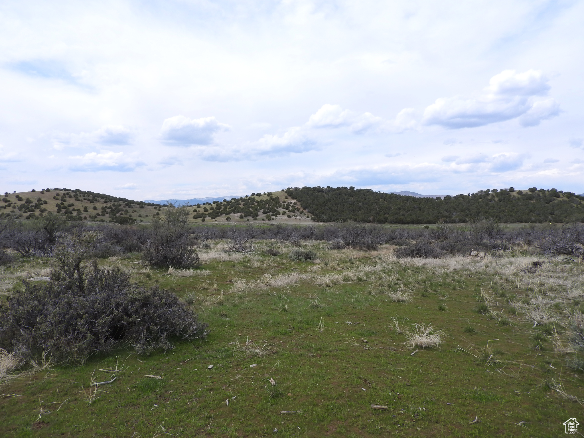 Land, Mt Pleasant, Utah image 1