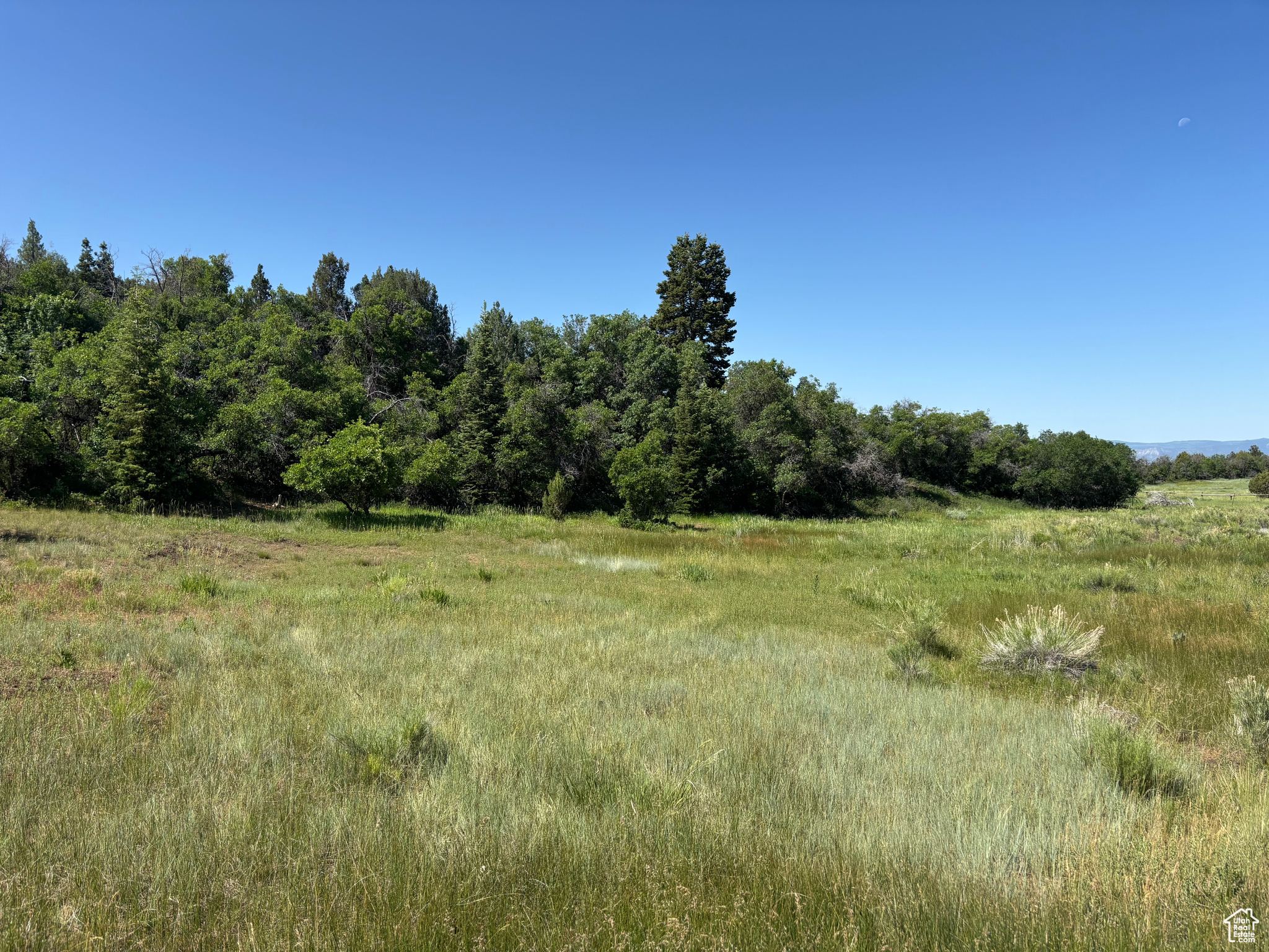SPRING CITY RANCHEROS - Land