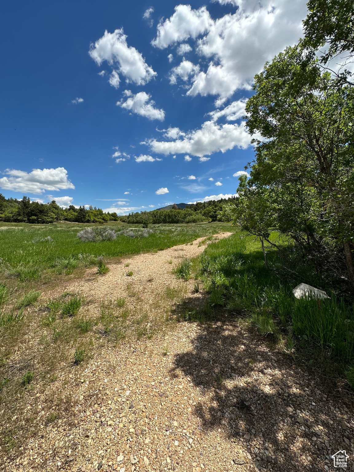 Land, Mt Pleasant, Utah image 11