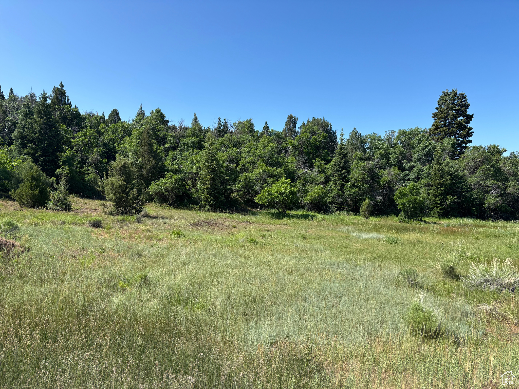 SPRING CITY RANCHEROS - Land
