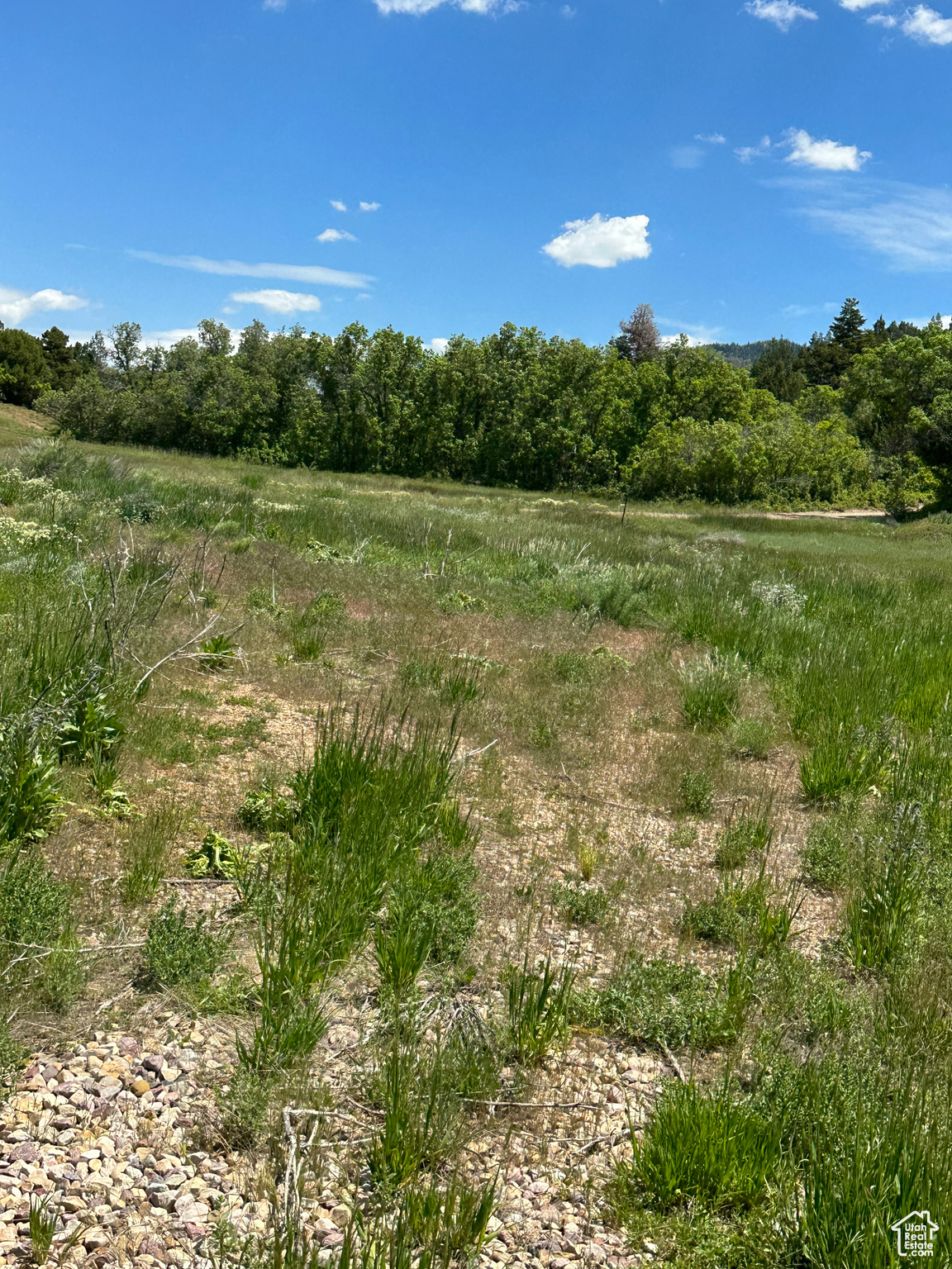 Land, Mt Pleasant, Utah image 8