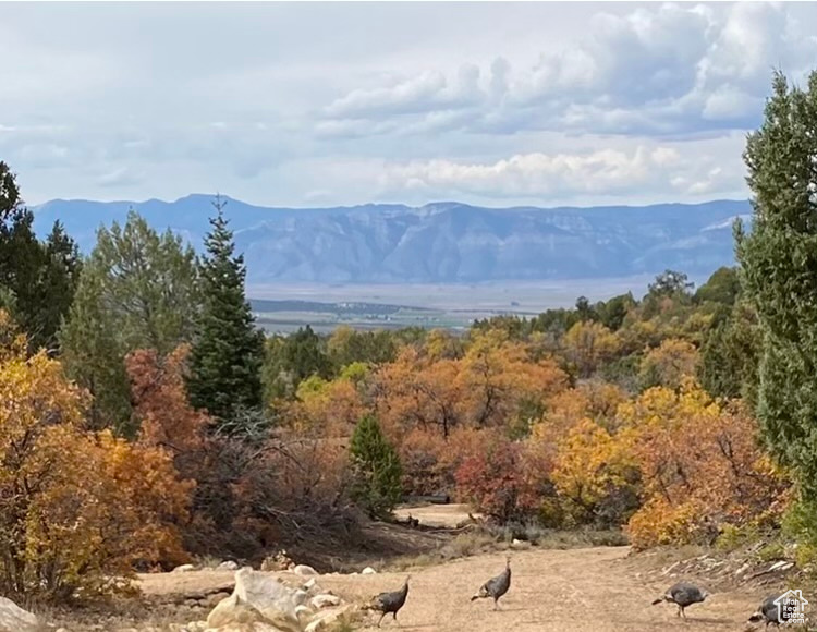 Land, Mt Pleasant, Utah image 2