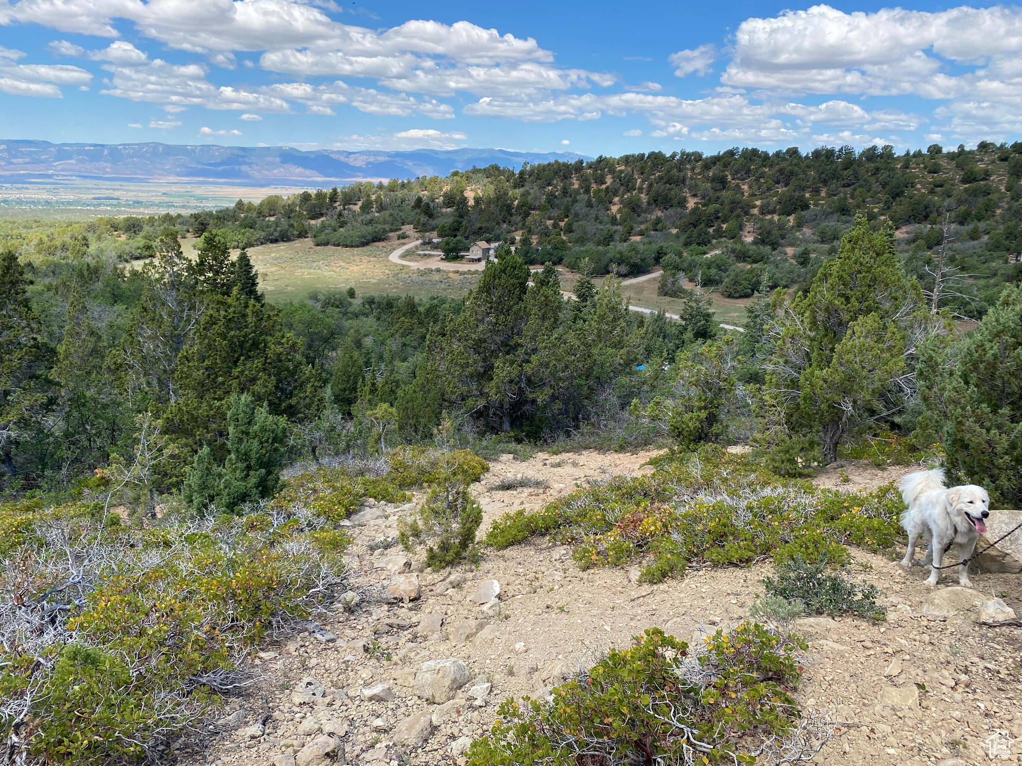 Land, Mt Pleasant, Utah image 5