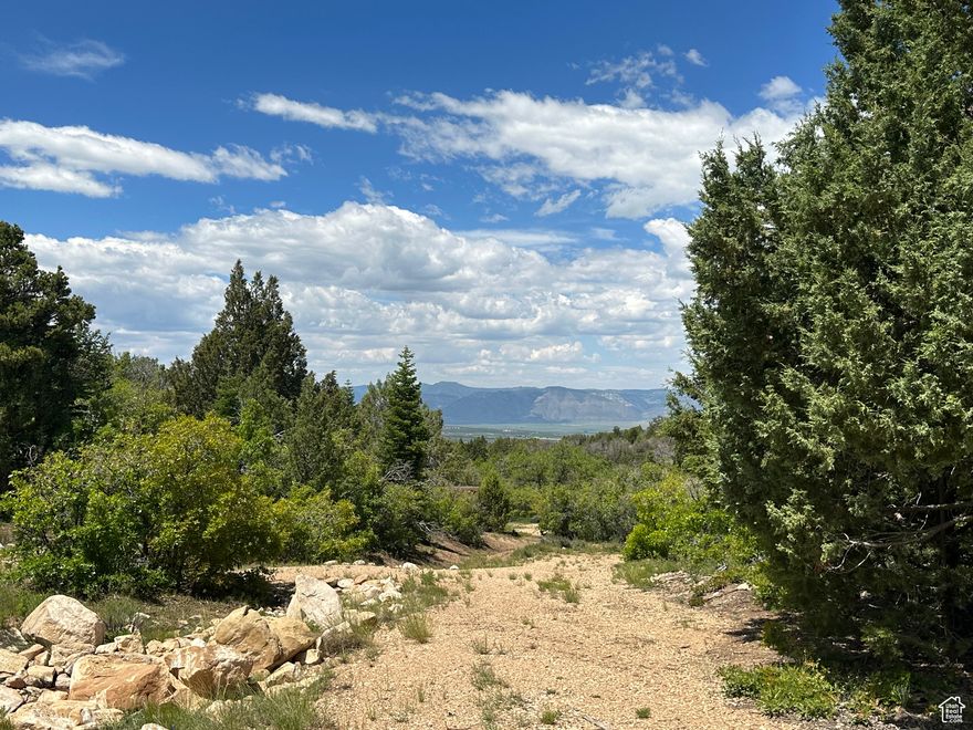 Beautiful scenic building lots with pines and a meadow that are improved and ready to be built on. There is a road to the upper meadow 2 lots with mother in law options. Sits up on a null with beautiful views of the valley and surrounding area. Septic tank is installed with 3 clean outs. Well has been drilled. Water pump that can be ran by solar is in the well along with 1100 gallon cistern that is on the property that will be included just not in place yet. Road in place with 6 inches of gravel. Power is near. RV included.  Buyer and buyer's agent/broker to verify all information. GPS Coordinates 39.47116, -111.42238