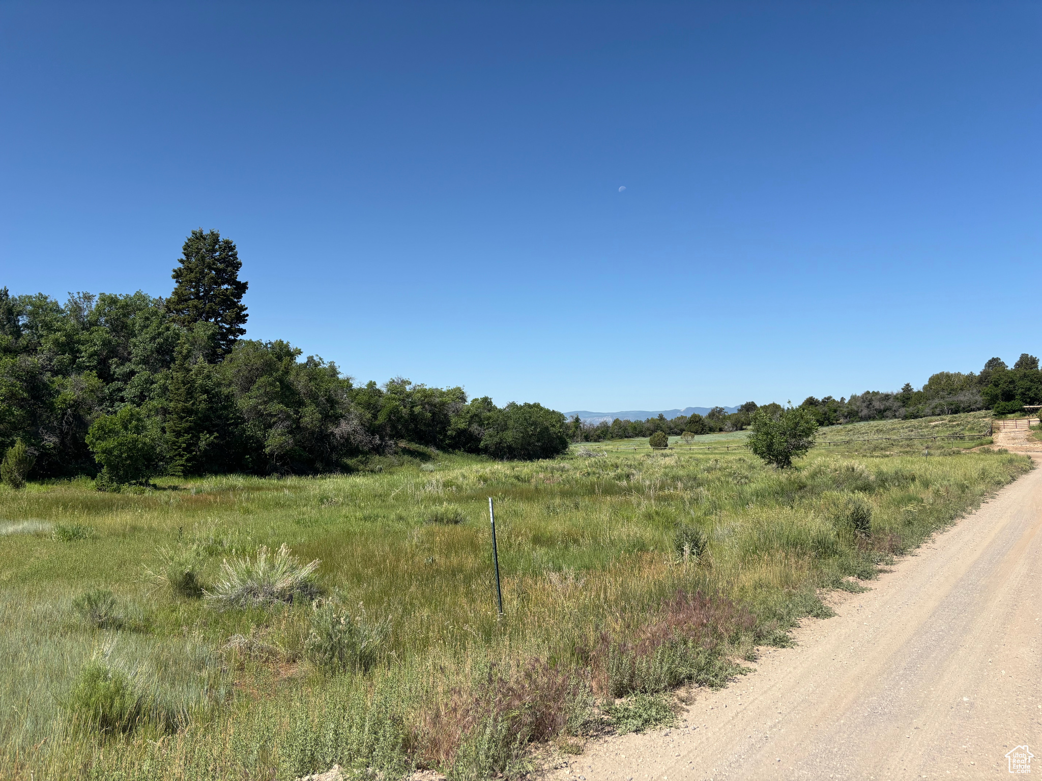 SPRING CITY RANCHEROS - Land