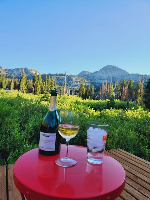 Tiny photo for 8101 S MILLICENTVIEW LN, Brighton, UT 84121 (MLS # 2124617)