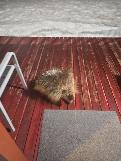 Tiny photo for 8101 S MILLICENTVIEW LN, Brighton, UT 84121 (MLS # 2124617)