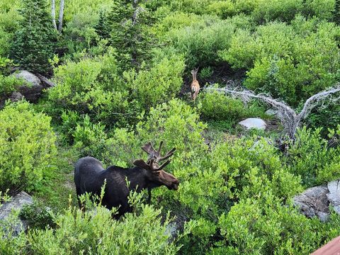 Tiny photo for 8101 S MILLICENTVIEW LN, Brighton, UT 84121 (MLS # 2124617)