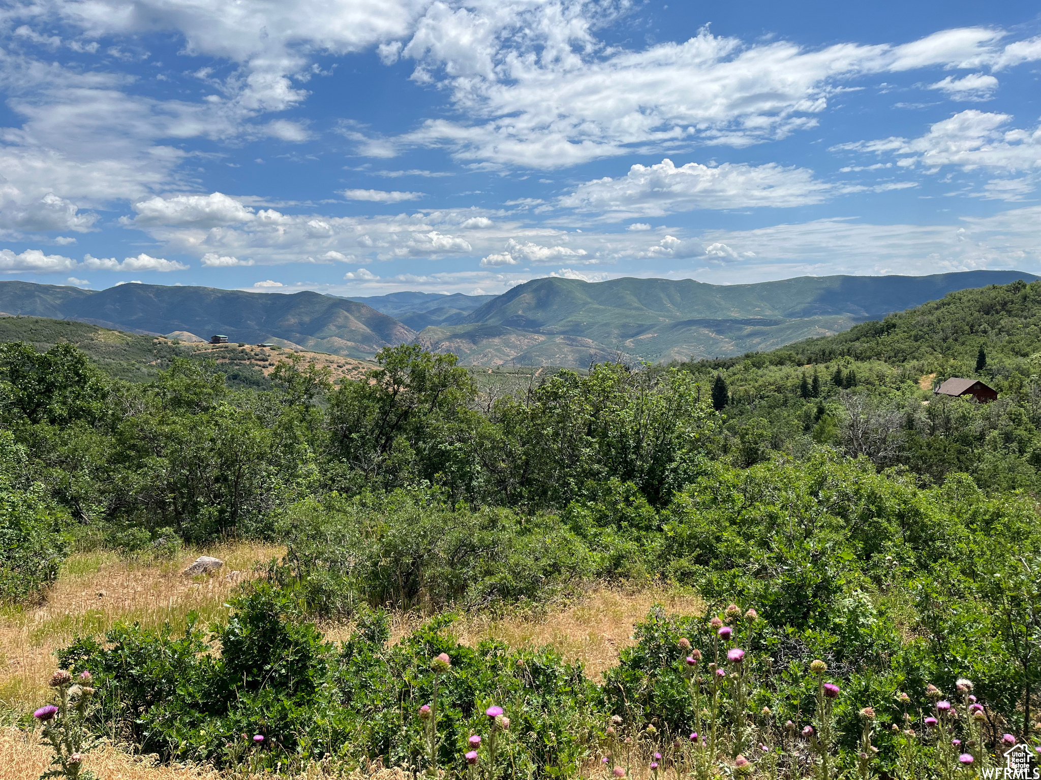 PLAT A UPPER WHITTER - Land